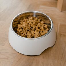 Droogvoer voor honden