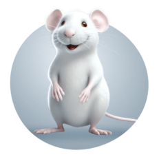 Knaagdieren