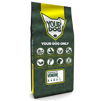 Yourdog Anglo-Français De Petit Vénerie Pup