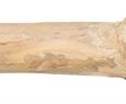 410602_01.jpg