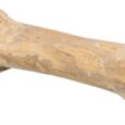410602_02.jpg