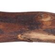 411254.jpg
