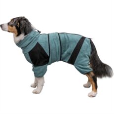 Honden kleding